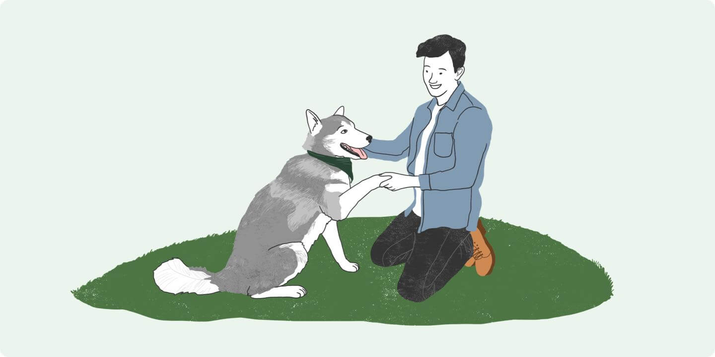 Caring for Your Dog's Paw Illustration