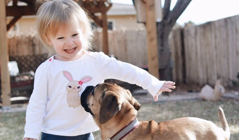 8 Ways Kids Can Help with Pets