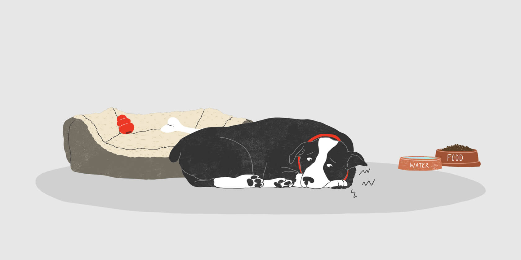 Illustration of dog resting
