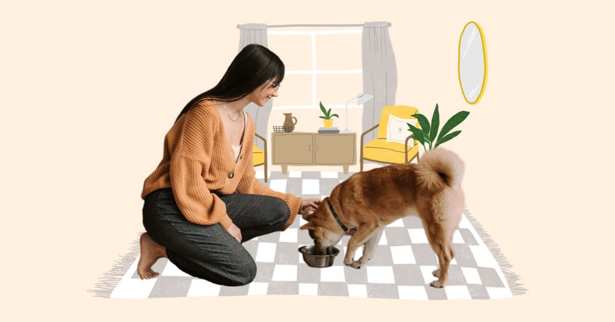 Pet Care Made Simple Zoetis Petcare