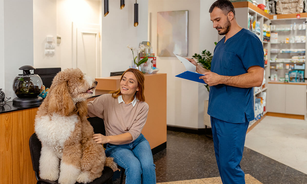 A woman sitting in a chair next to a dog.