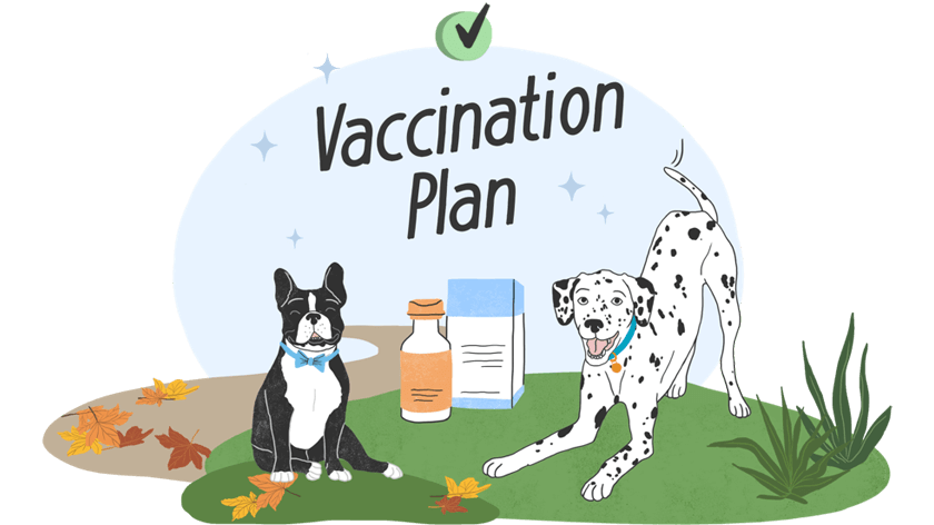 Vaccines Quiz for Dogs