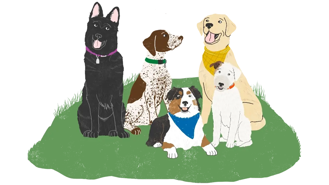 Illustration of pack of dogs
