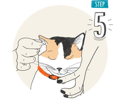 A drawing of a cat with a collar.