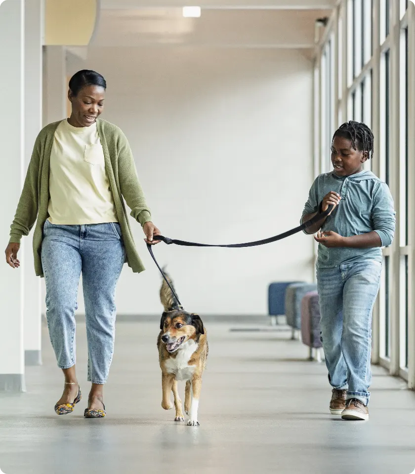 Woman and boy walking dog