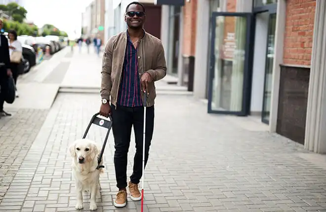 A man walking a white dog on a leash.
