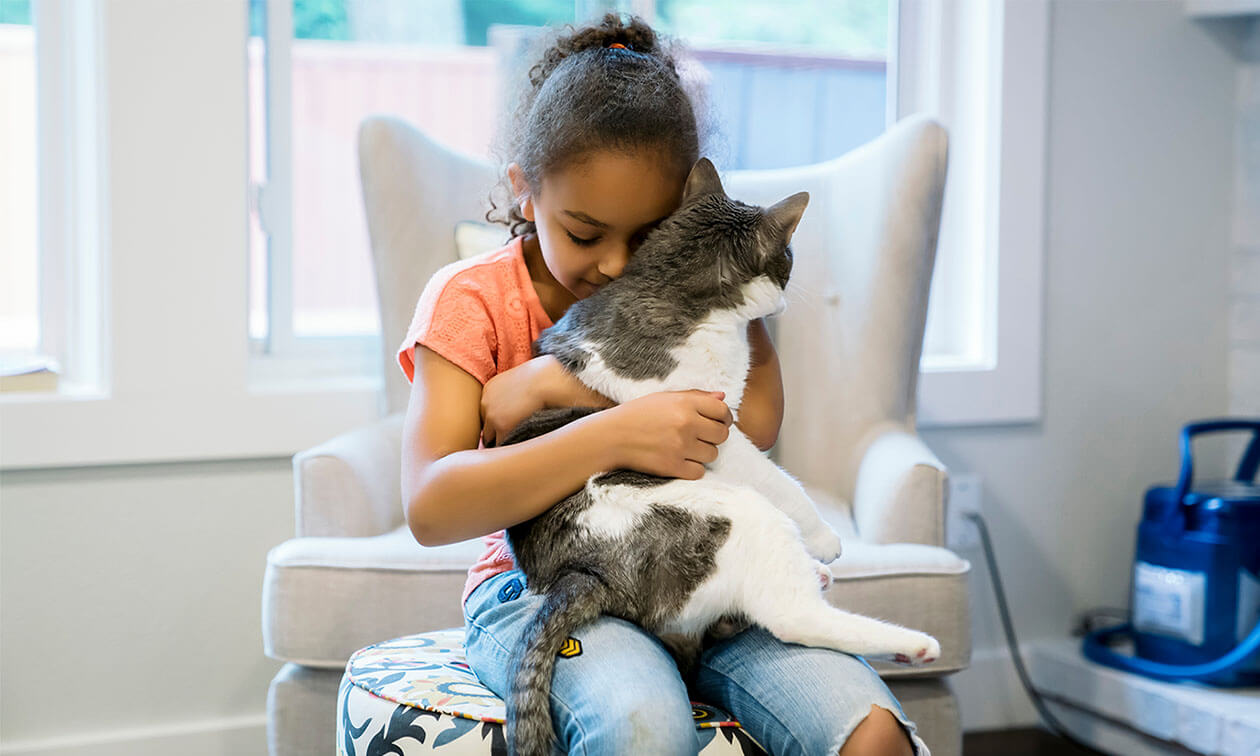 https://images.contentstack.io/v3/assets/blt6f84e20c72a89efa/bltd31e7bd54339cf17/65b7fd4c292a0e2acb87d379/article-cat-breeds-for-families-header%401.5x.jpg