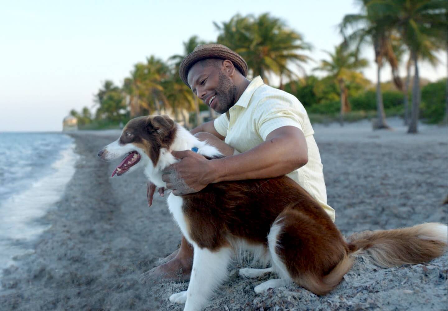 Man petting dog on the beach