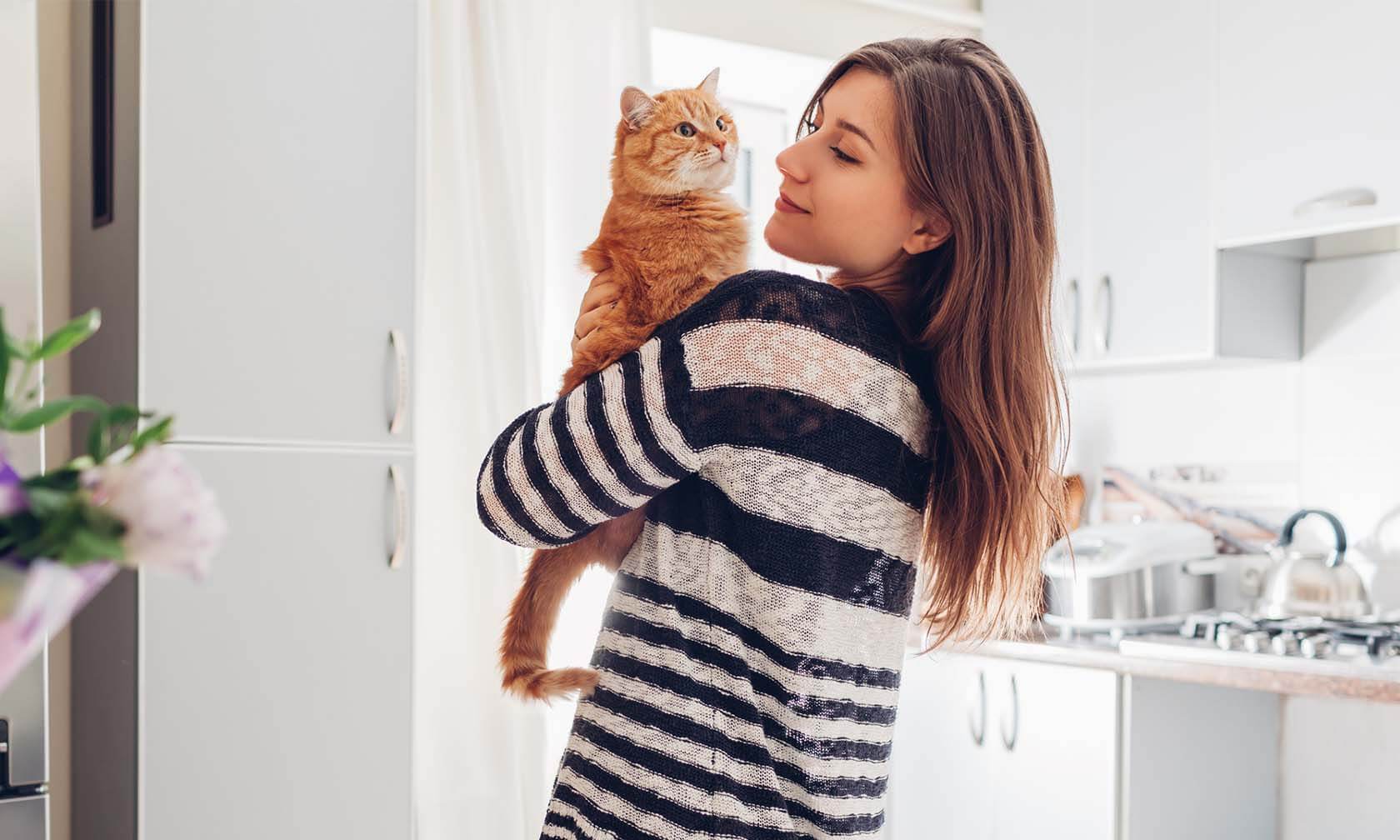 How long for kitten to get used store to new home