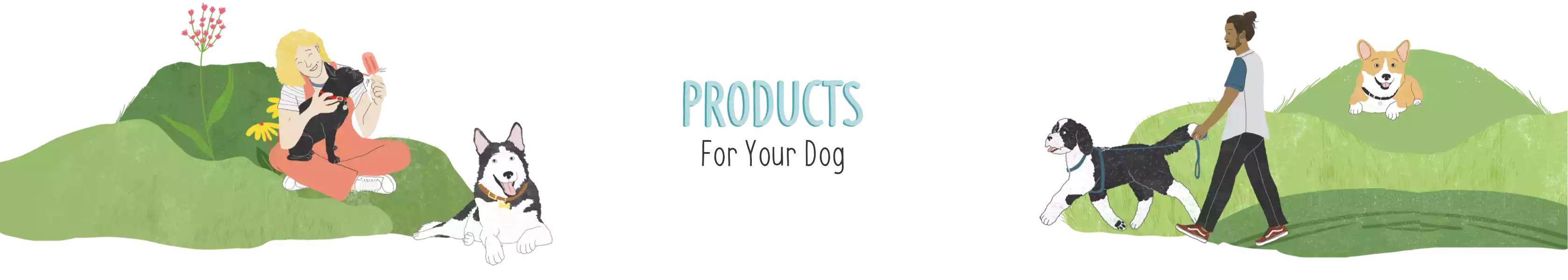 Products For Your Dog