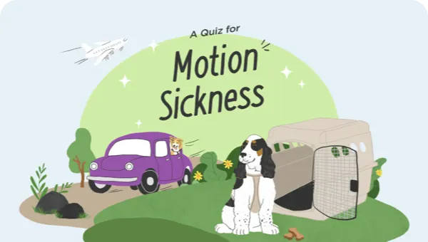 Tips for Preventing Car Sickness in Pets: Easy & Effective Solutions