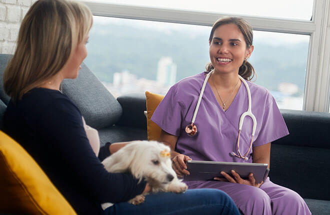 How To Say Thank You To Your Veterinarian Zoetis Petcare
