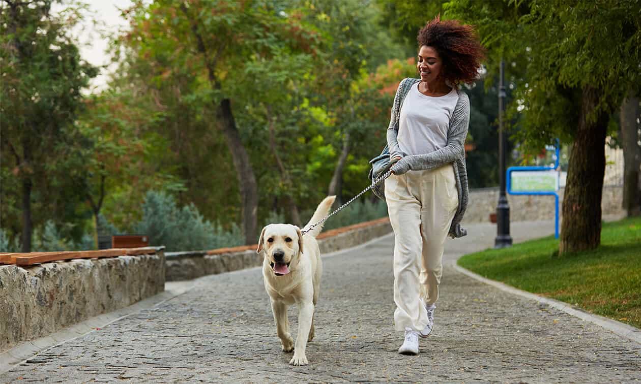 A woman walking a dog on a leash.