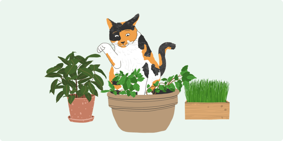 Illustrated cat digging up a houseplant