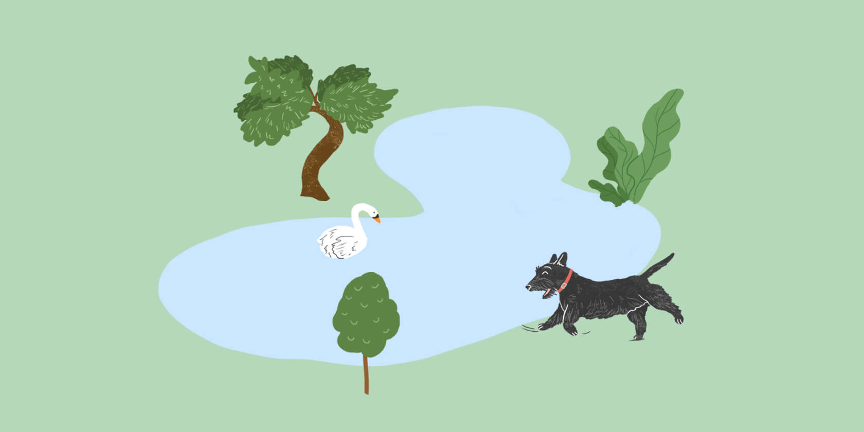 Dog in a park running around lake