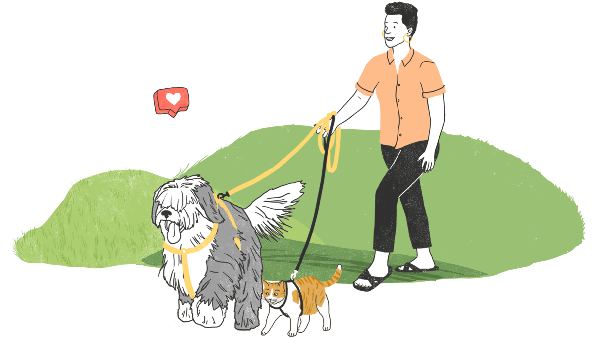 Man walling dog and cat