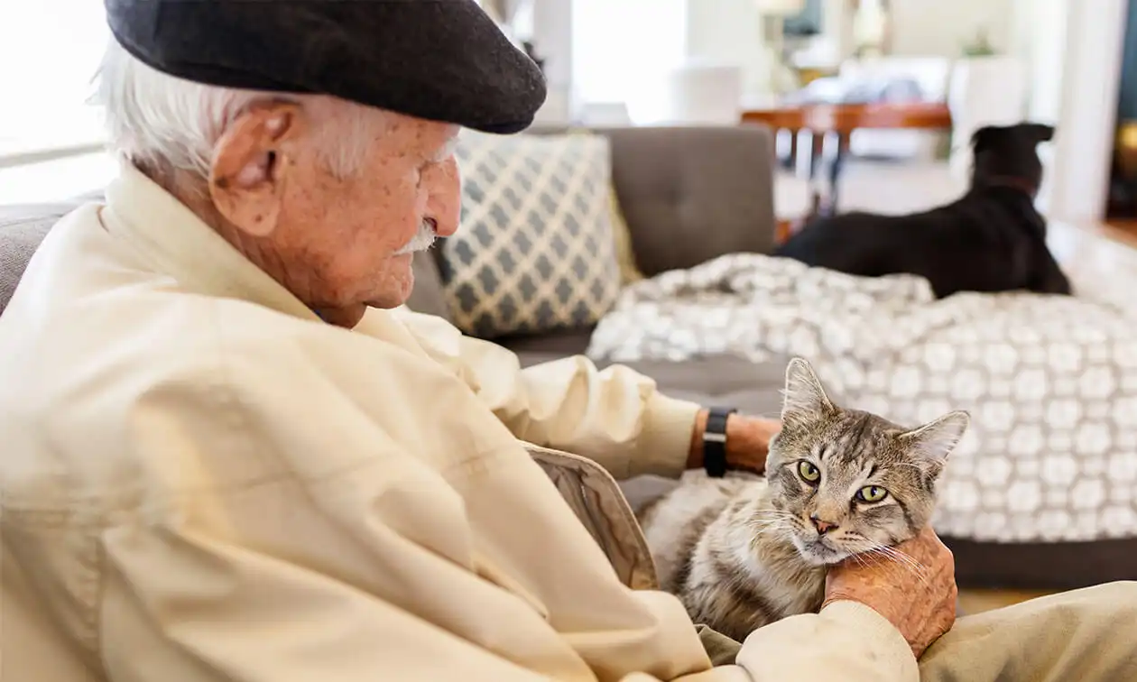 A man sitting on a couch holding a cat.