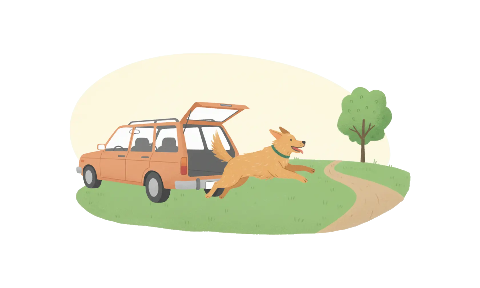 Dog in a park jumping out of a car.