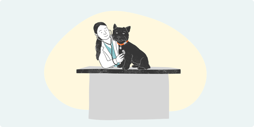 Illustrated veterinarian performing a checkup on a dog
