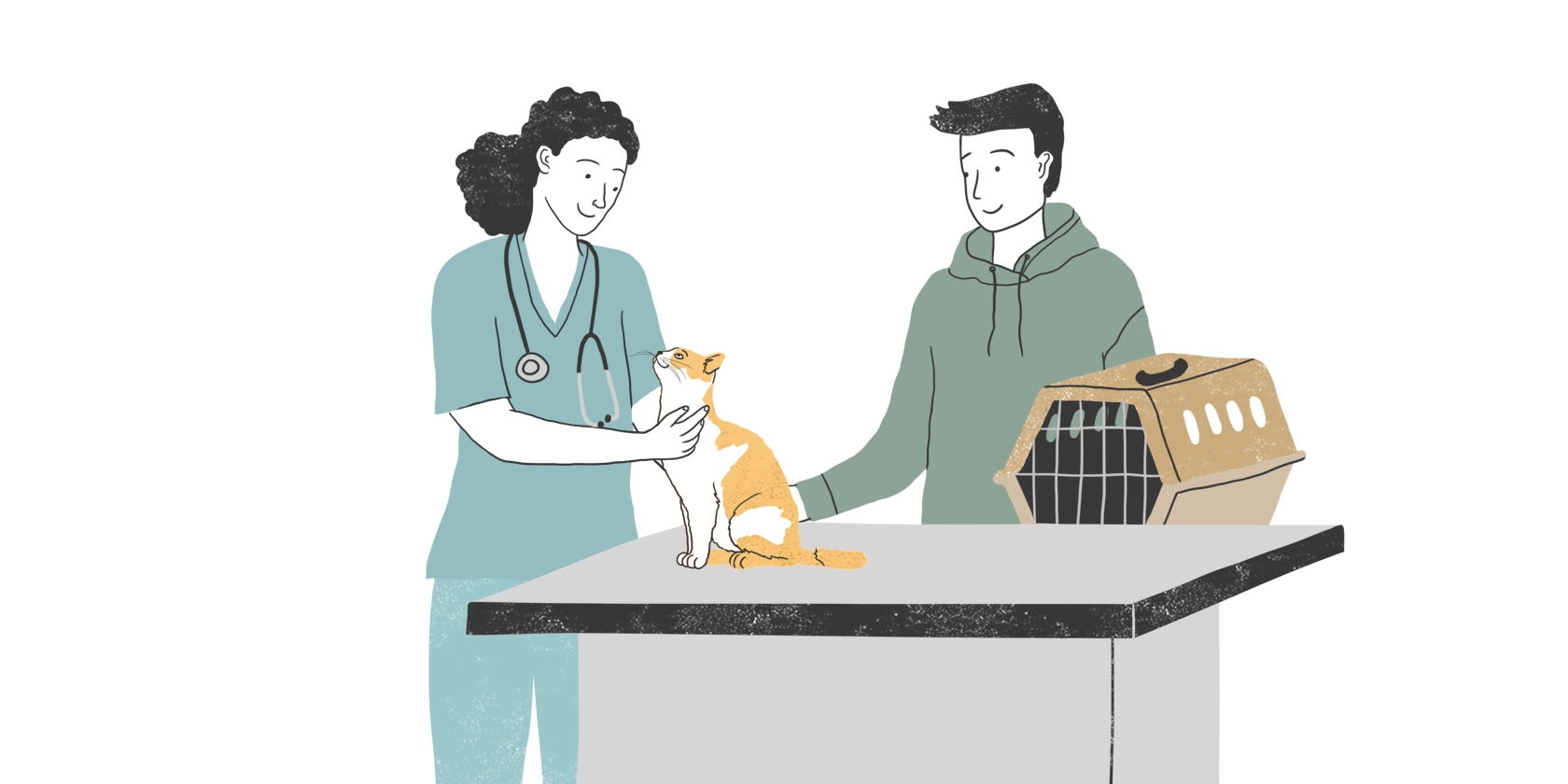 Questions to ask your veterinarian