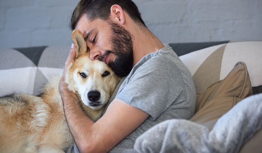 Benefits of Having a Pet During Stressful Times