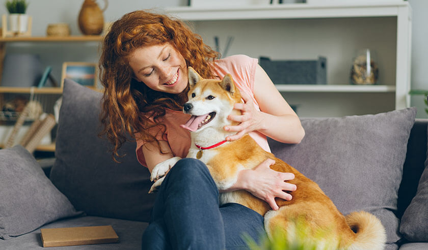 Best Dogs for Apartment Living