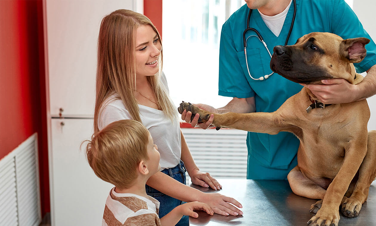 A woman and child with their dog at the vet's office.