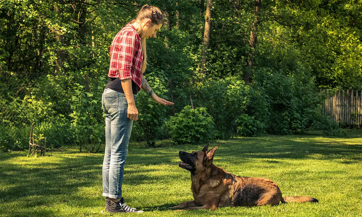 A woman training her dog.