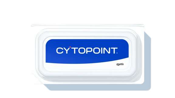 Long-lasting Allergic Itch Relief for Your Dog