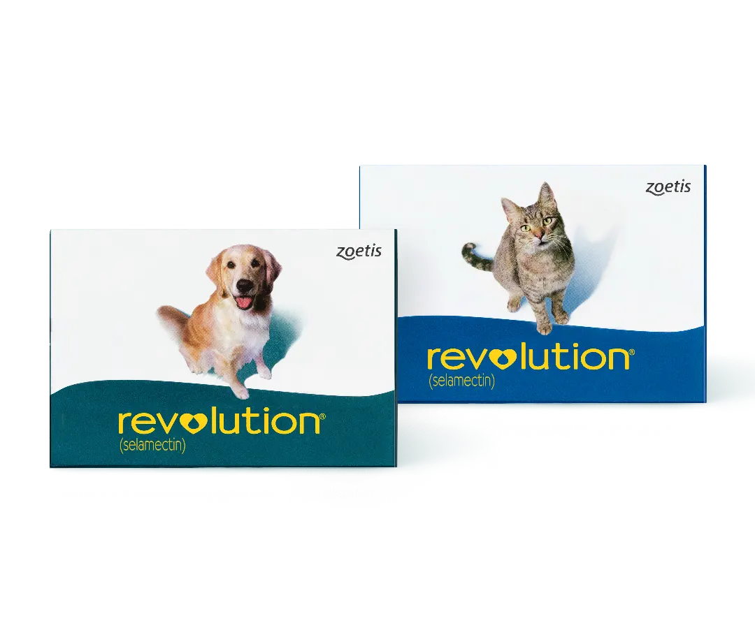 Revolution.