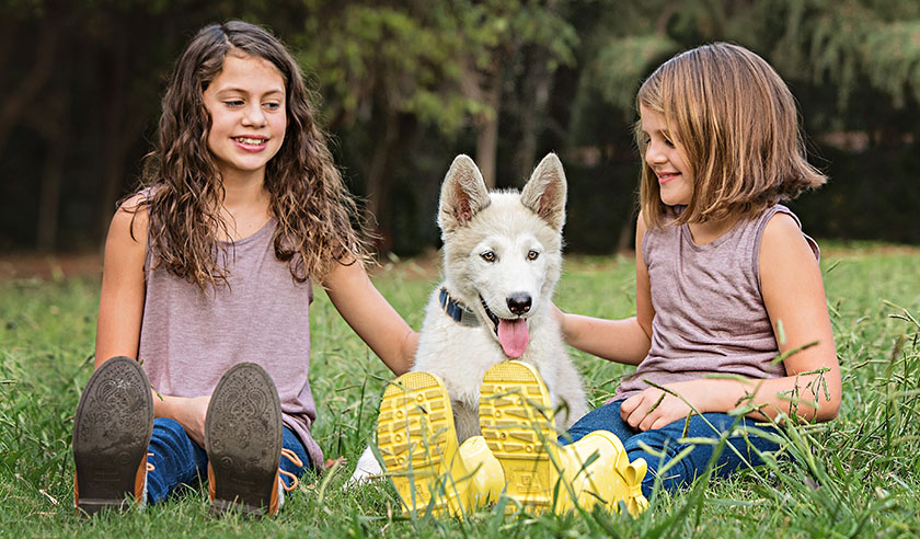 The Best Dog Breeds for Families with Kids