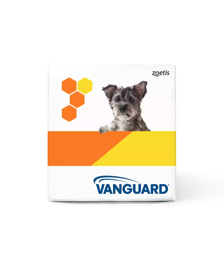 Vanguard for Dogs