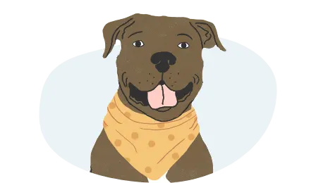 Dog wearing bandana.