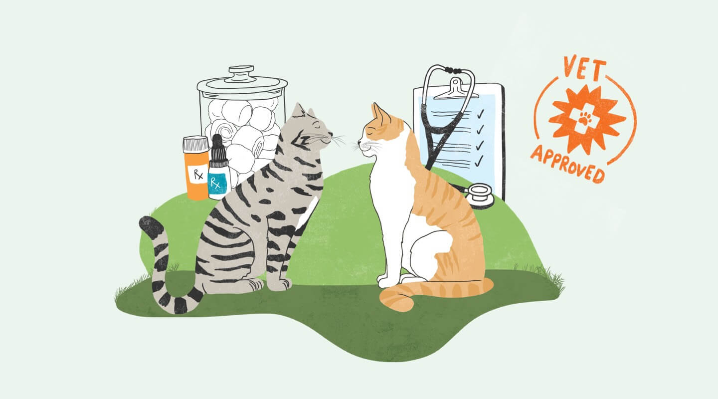 Illustration of dog and cat at vet