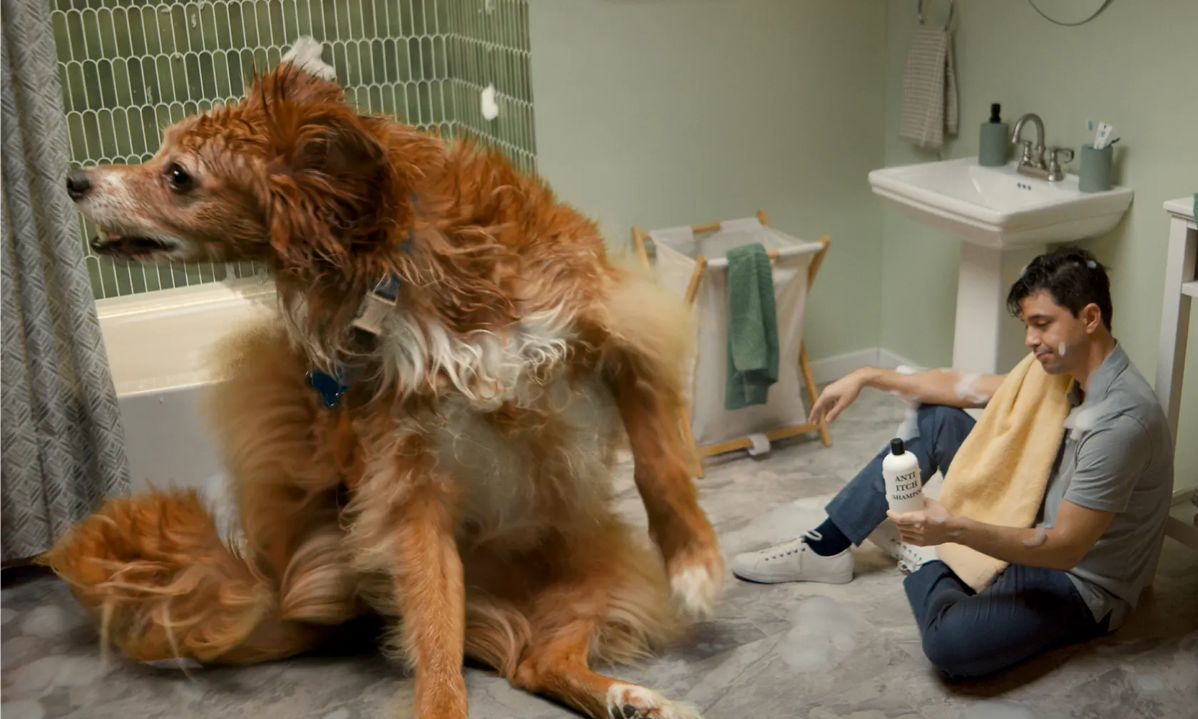 Oversized dog scratching itself in bathroom