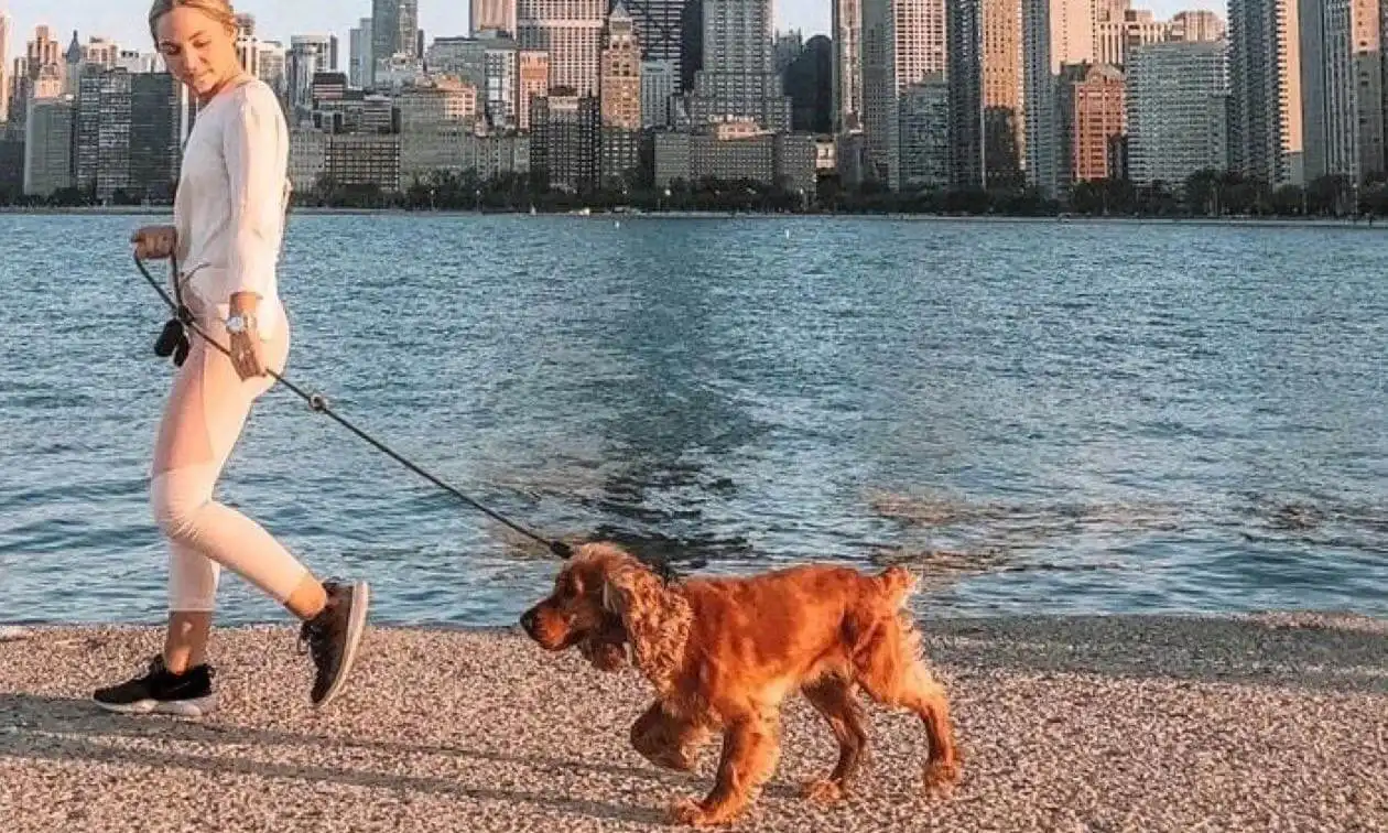 Walking a puppy on a leash