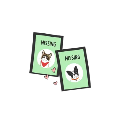 Missing Pet Poster Template