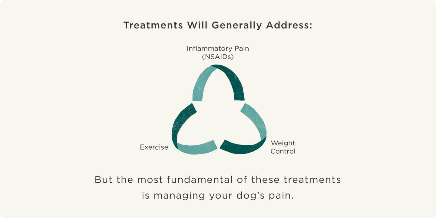 dog arthritis treatments