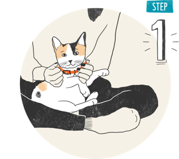 A drawing of a cat sitting on a person's leg.