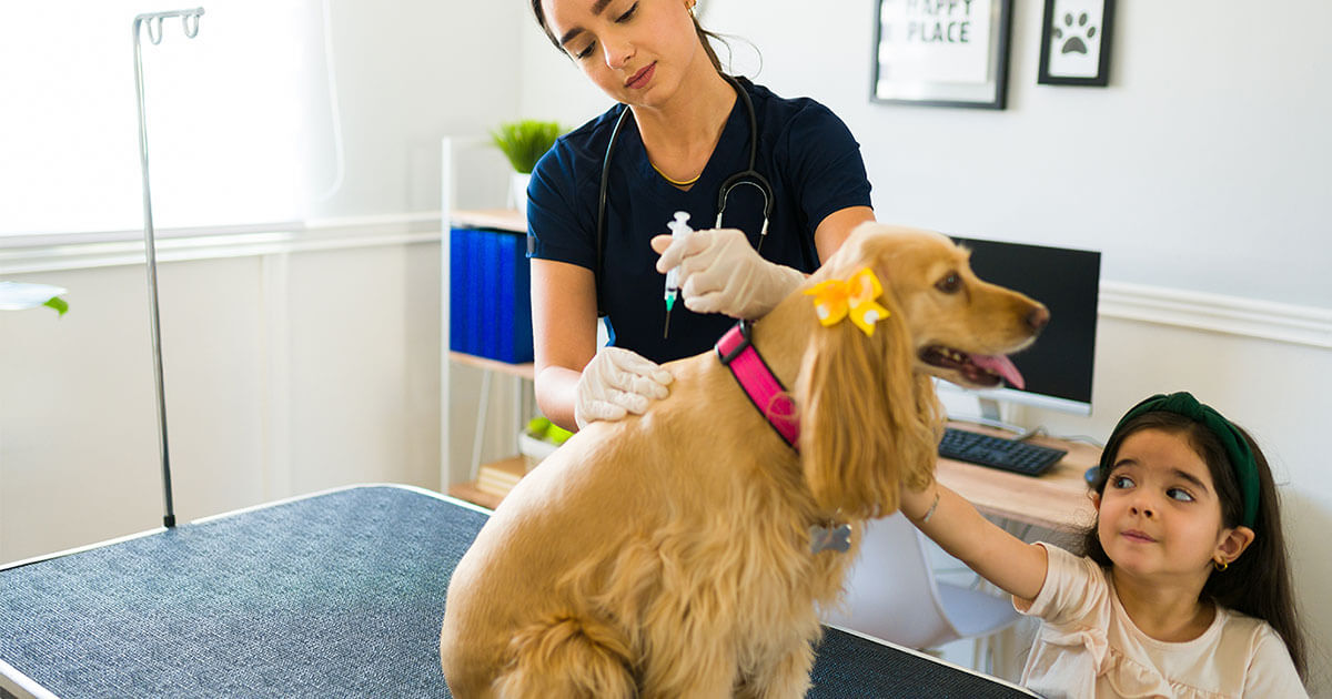 pet-vaccine-myths-debunked-zoetis-petcare