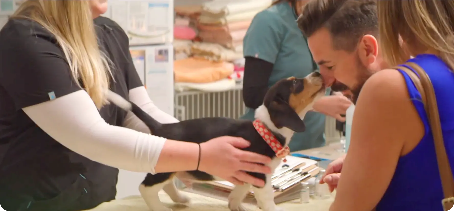 Watch our Video to See How Zoetis and Adopt a Pet are Making an Impact