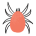 Tick