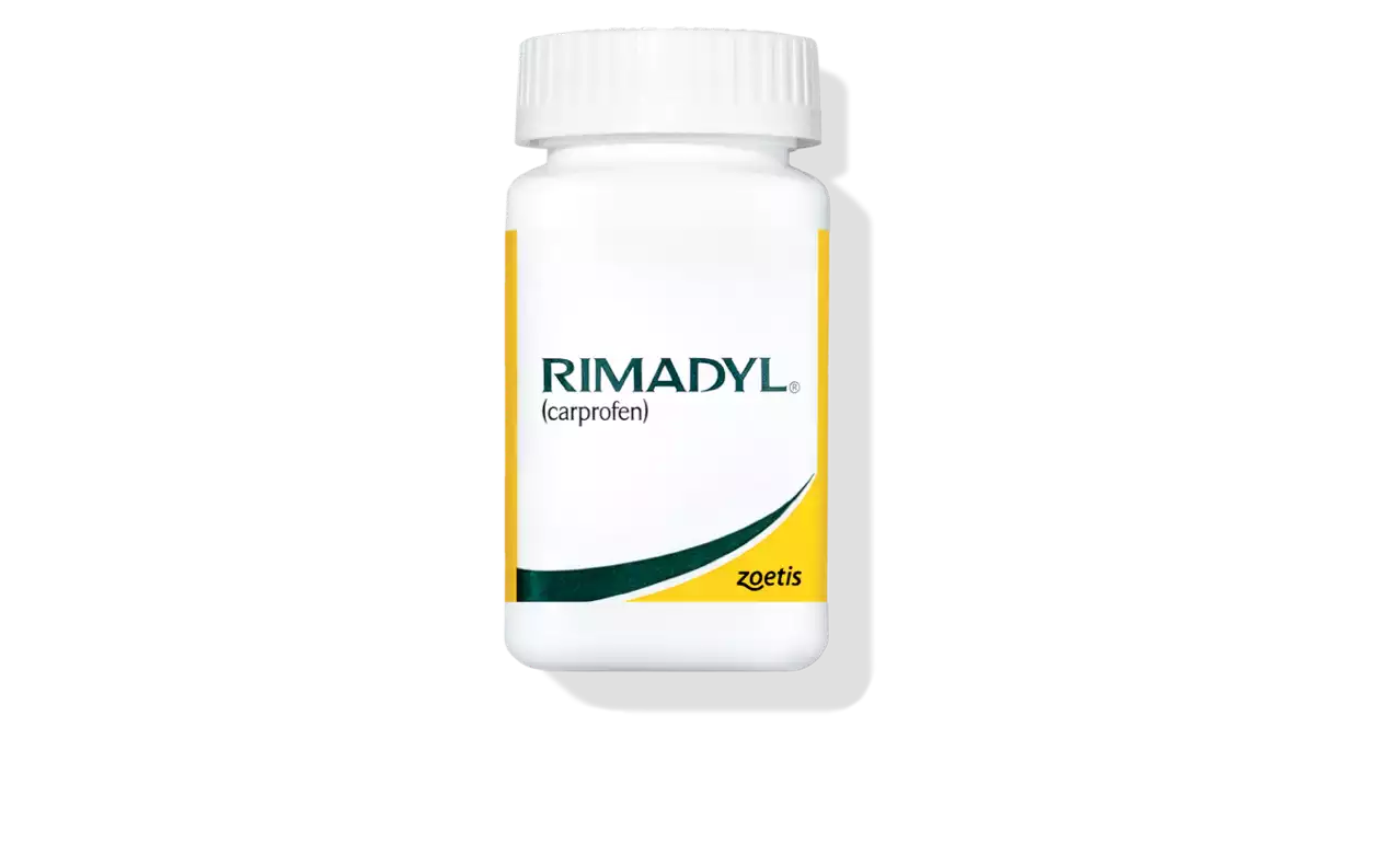 Learn More About the Benefits of&nbsp;Rimadyl