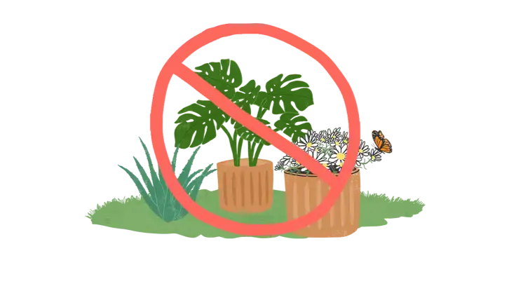 Guide to Toxic Plants
