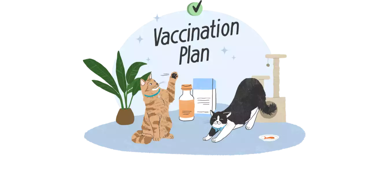 Get a Recommended Vaccination Plan to Discuss With Your Vet
