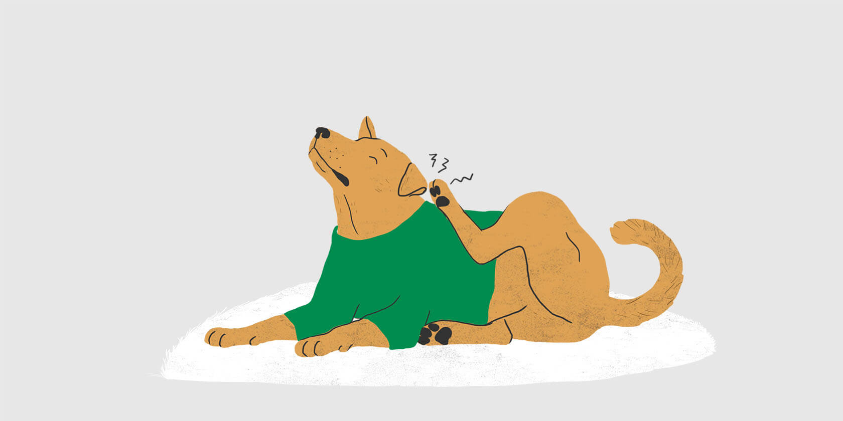 Illustration of a dog laying on a rug and scratching itself.