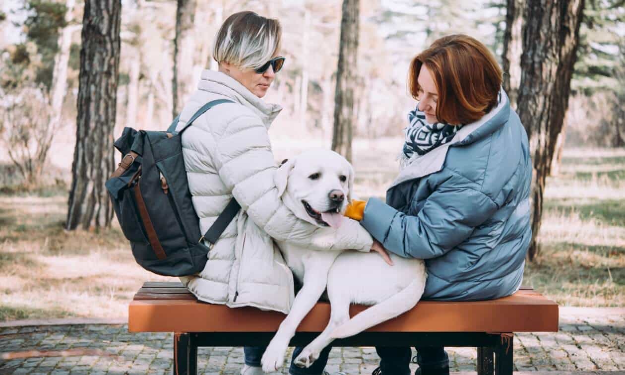 Two women sitting on a bench with a dog.
