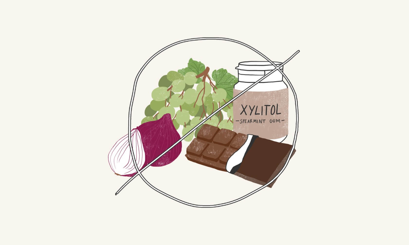Illustration of items harmful to pets