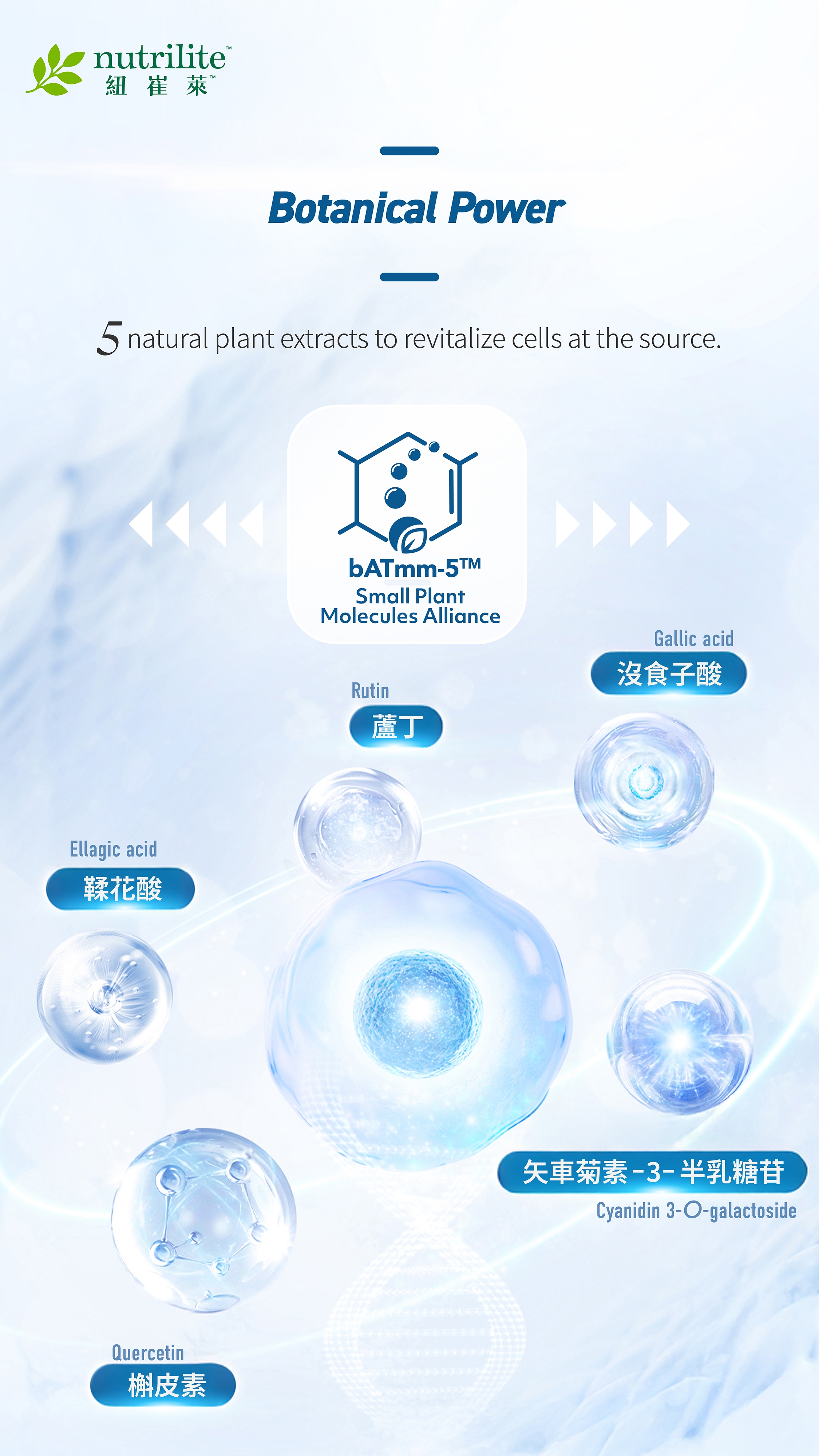 202504_iCell_Leaflet_b_edm1_eng.jpg