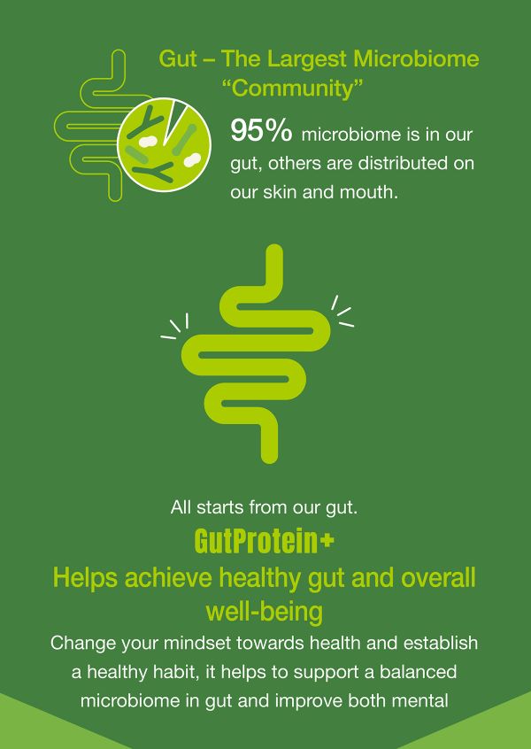 0912_GutProtein_Leaflet_Article2_Image1_resized_eng_v2.jpg